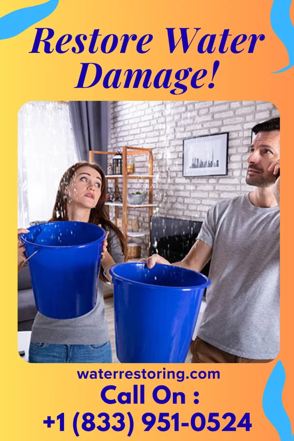 water restoration Rapid Damage Restoration Crew Long Pine