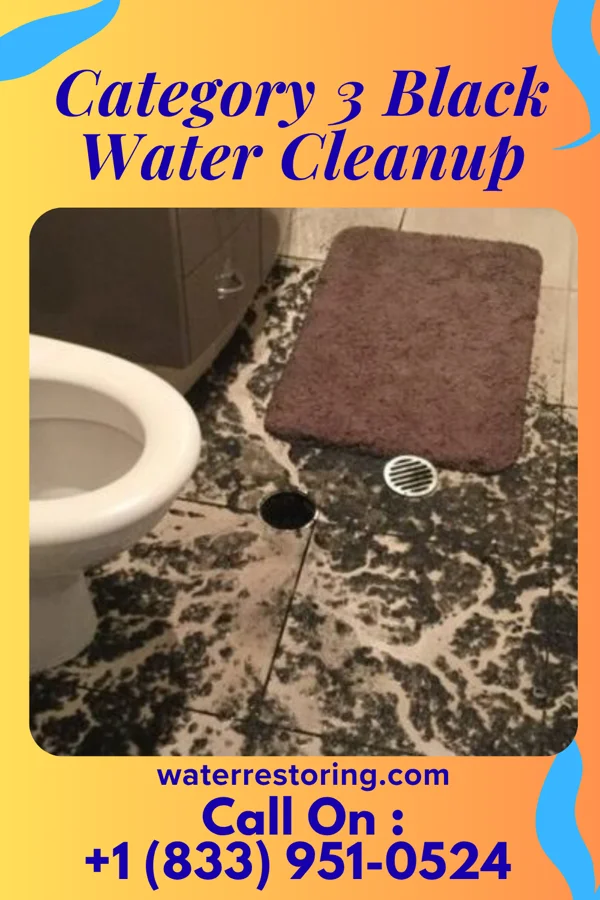 Category 3 Black Water Cleanup in Long Pine, NE