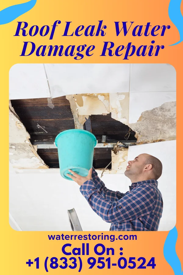 Roof Leak Water Damage Repair in Long Pine, NE